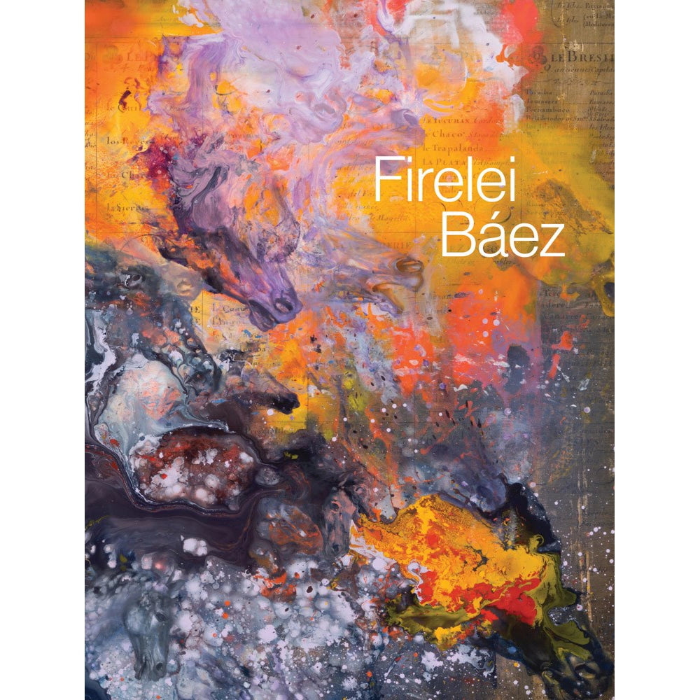 Firelei Báez – MCA Chicago Store