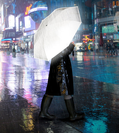 Reflective Umbrella  