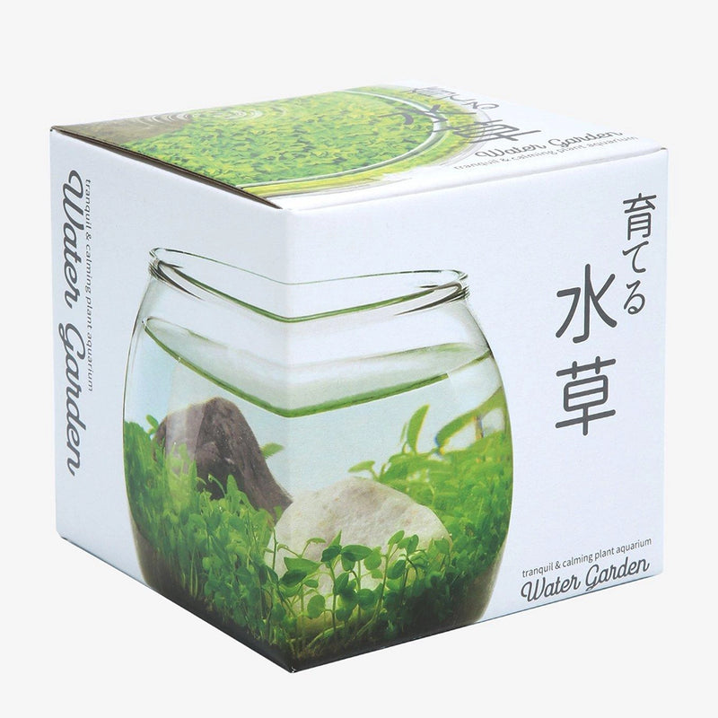 Water Garden Plant Aquarium