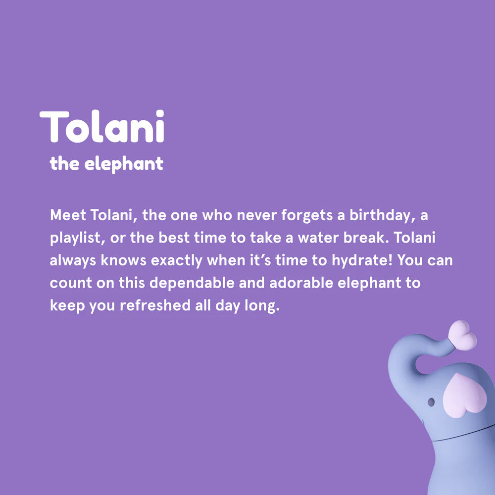 Bestie Water Bottle - Elephant