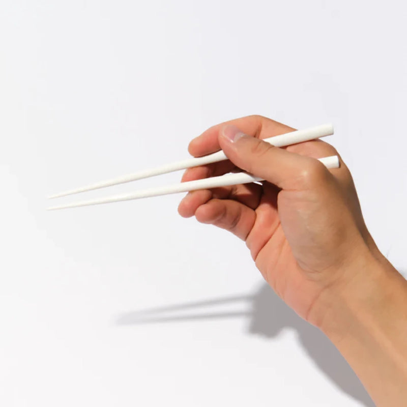 Takenaka Chopsticks & Case