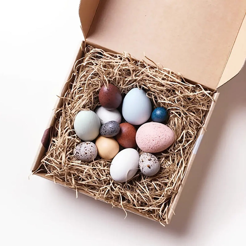 A Dozen Bird Eggs Wooden Toy Set