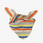 Color Stripe Triangle Scarf