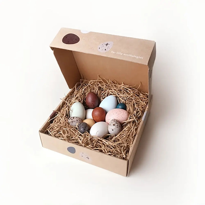 A Dozen Bird Eggs Wooden Toy Set