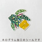 Green Plants Hako Sticker Pack