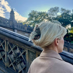Pigeon Claw Hair Clip