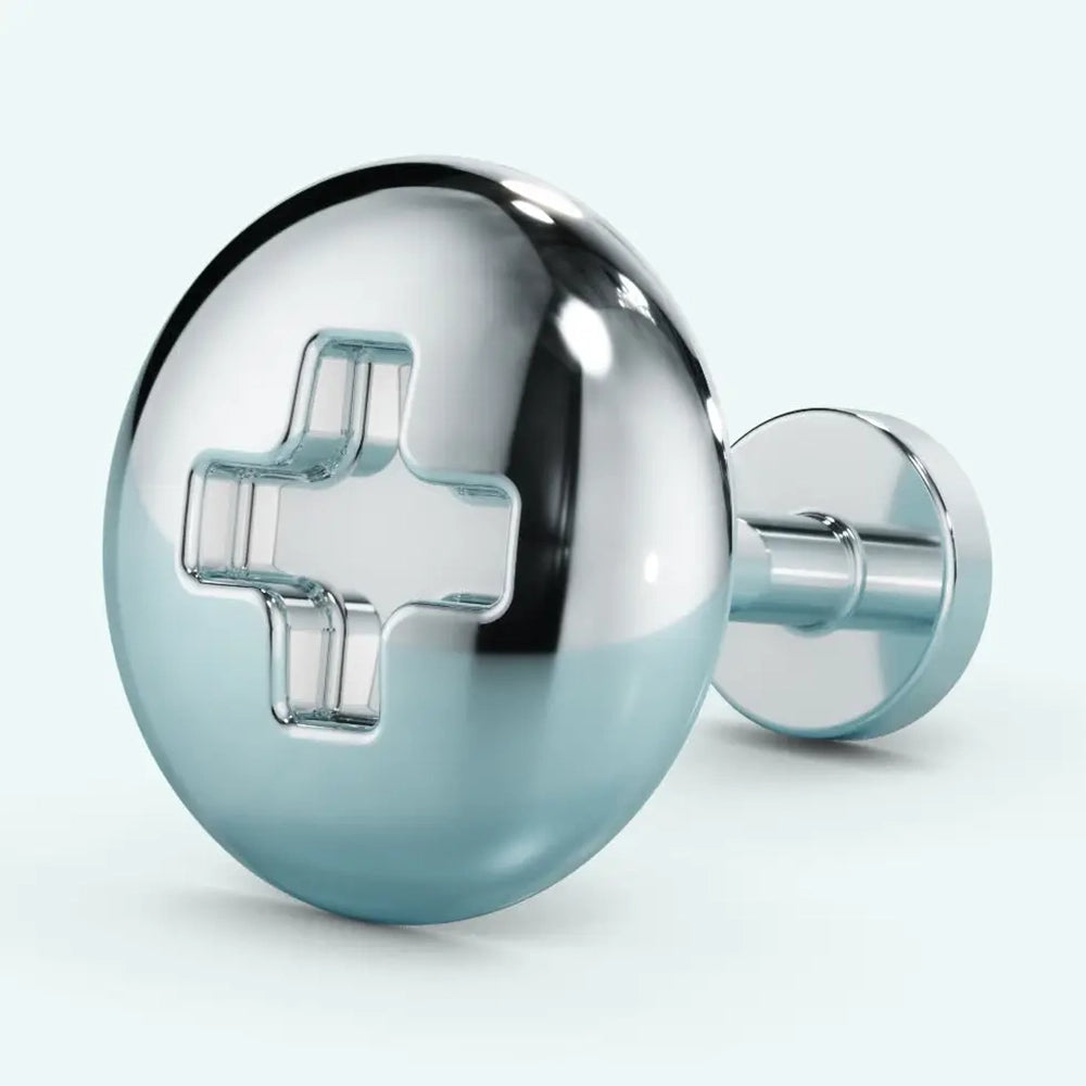 Screw Head Earrings