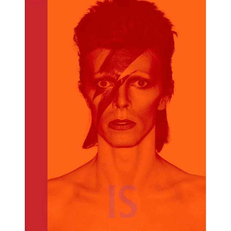 David Bowie Is (Hardcover)