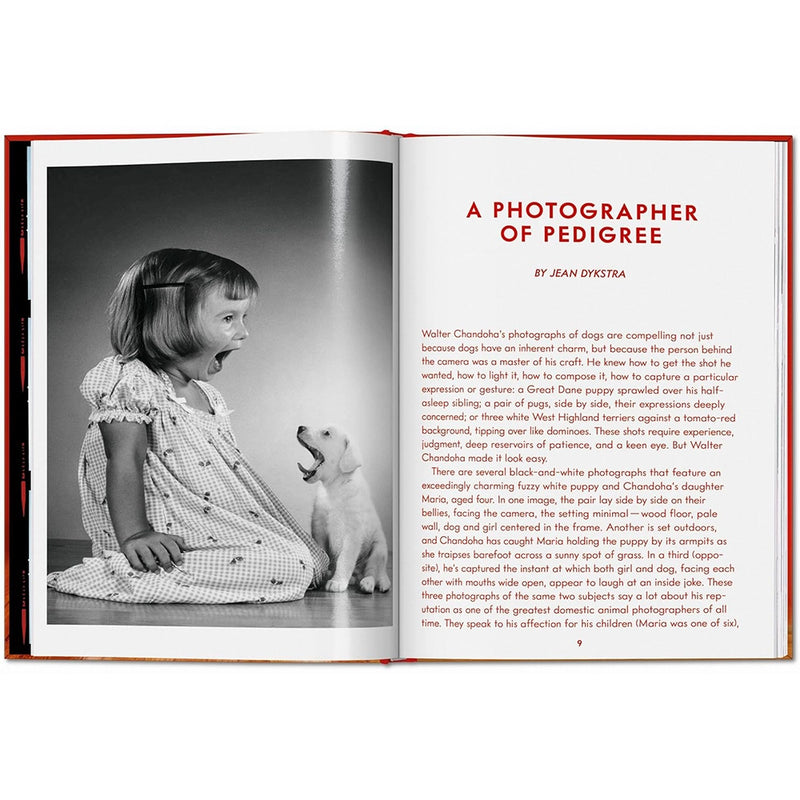 Walter Chandoha. Dogs. Photographs 1941-1991