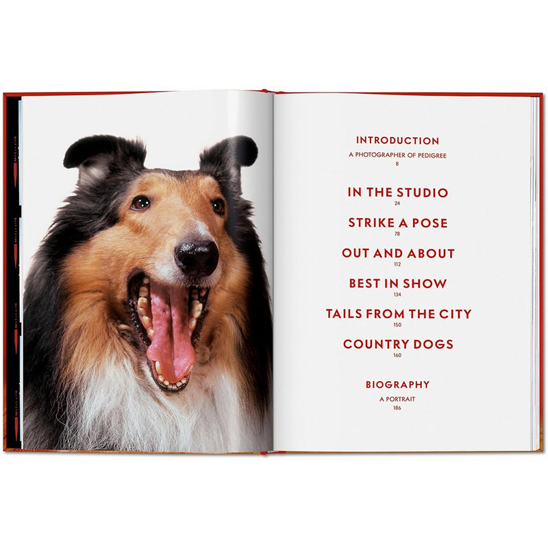 Walter Chandoha. Dogs. Photographs 1941-1991