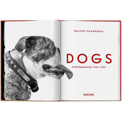 Walter Chandoha. Dogs. Photographs 1941-1991