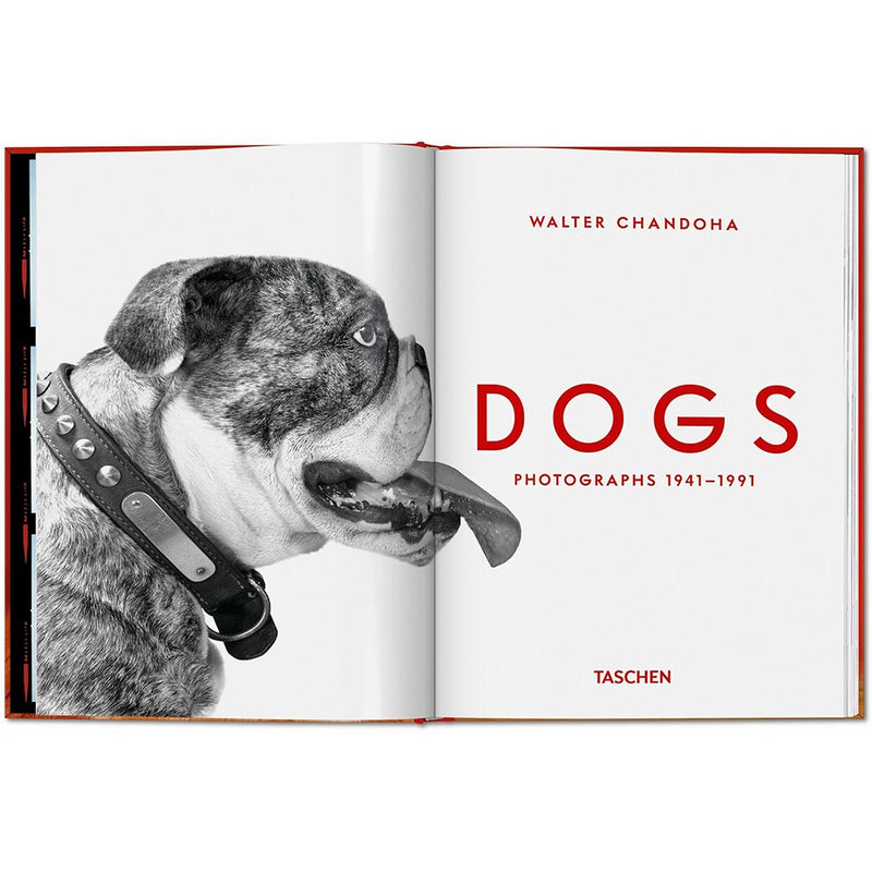Walter Chandoha. Dogs. Photographs 1941-1991