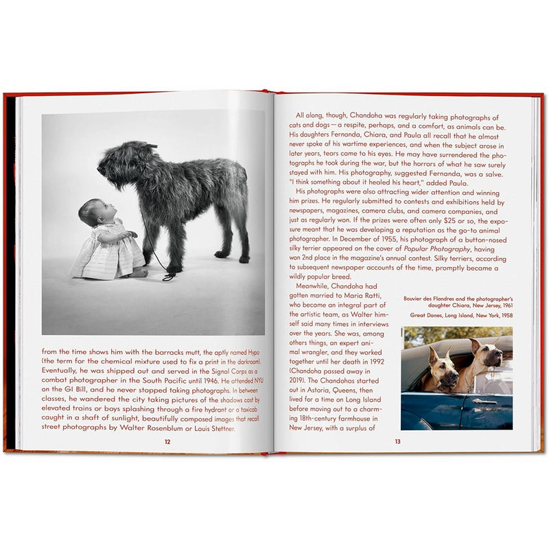 Walter Chandoha. Dogs. Photographs 1941-1991