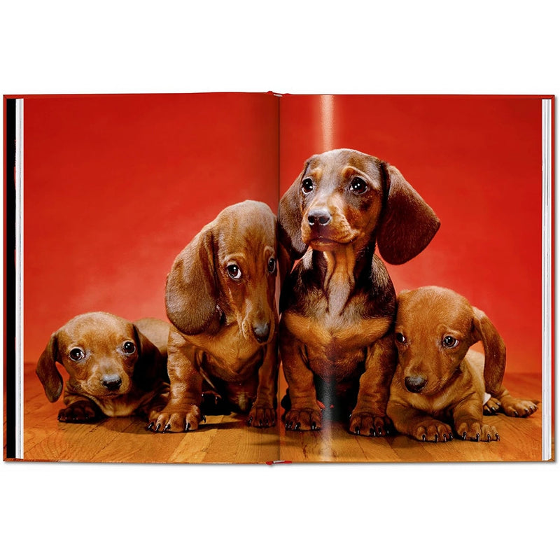 Walter Chandoha. Dogs. Photographs 1941-1991