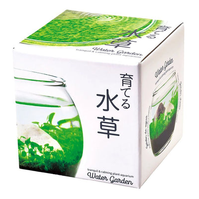 Water Garden Plant Aquarium