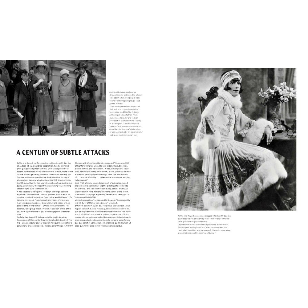 We Are Everywhere: : Protest, Power, and Pride in the History of Queer Liberation