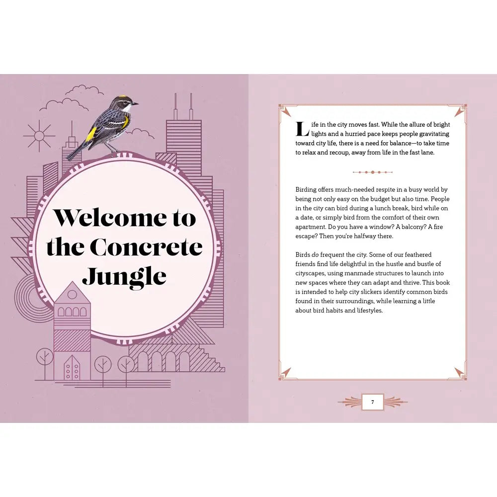 City Bird: Explore the Charming Metropolitan Melodies of Our Feathered Friends