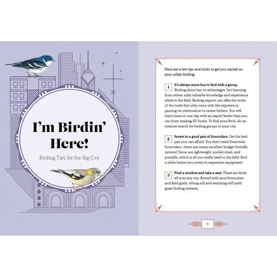 City Bird: Explore the Charming Metropolitan Melodies of Our Feathered Friends