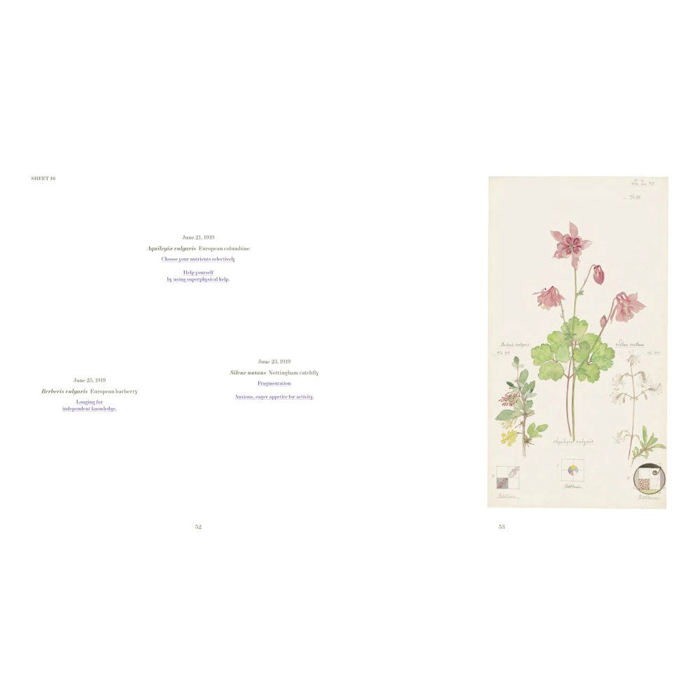 Hilma af Klint: What Stands Behind the Flowers