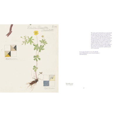 Hilma af Klint: What Stands Behind the Flowers