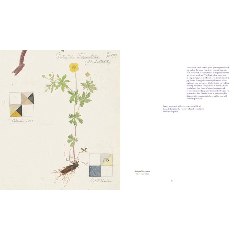 Hilma af Klint: What Stands Behind the Flowers