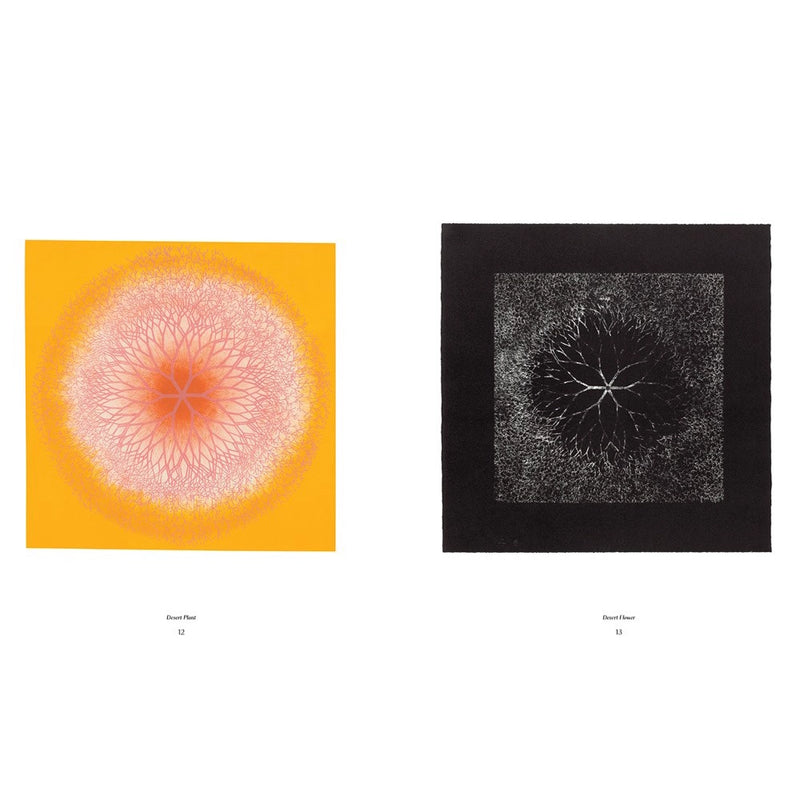 Ruth Asawa: The Tamarind Prints