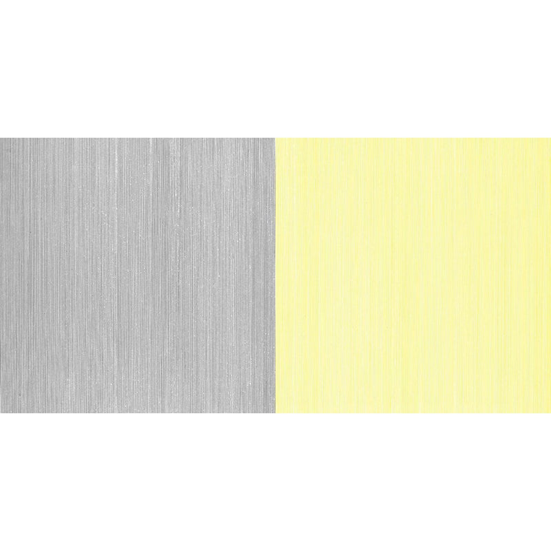 Sol LeWitt: Four Basic Kinds of Lines & Colour