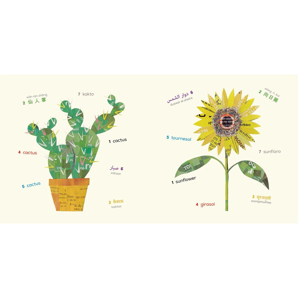 Words of the World Plants