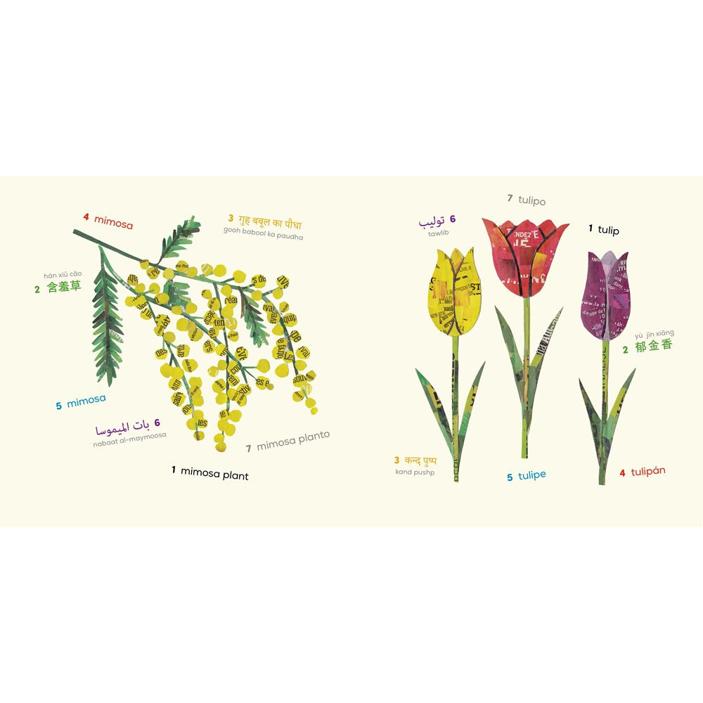Words of the World Plants