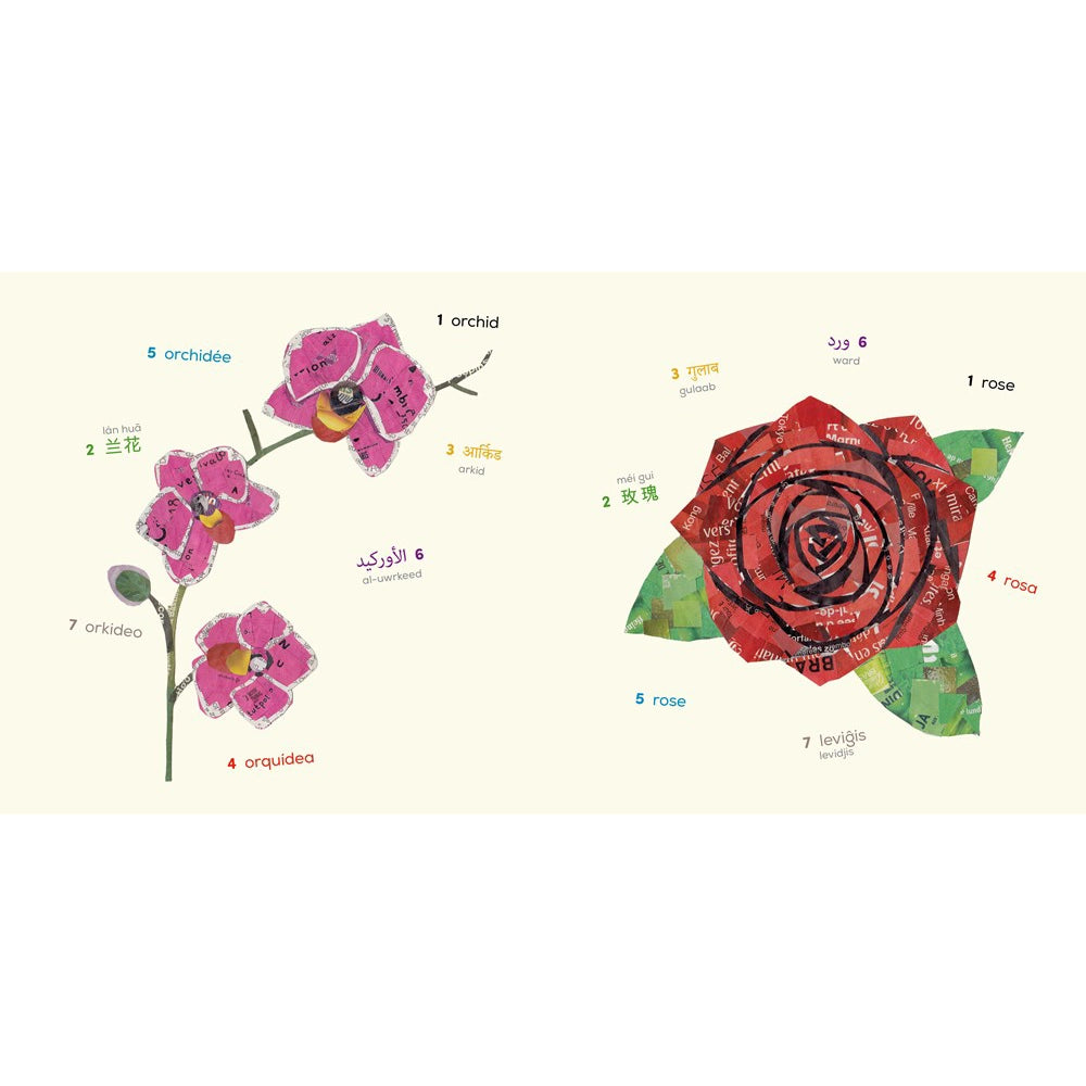 Words of the World Plants