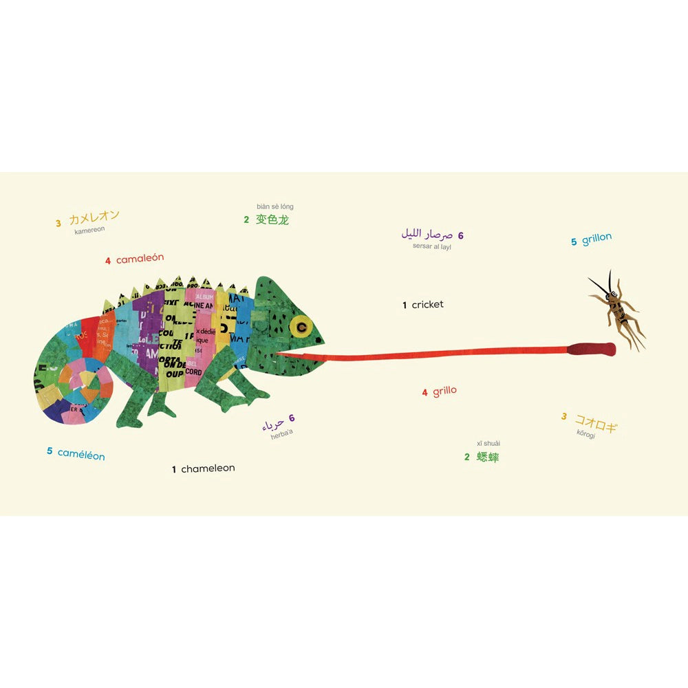 Words of the World Animals