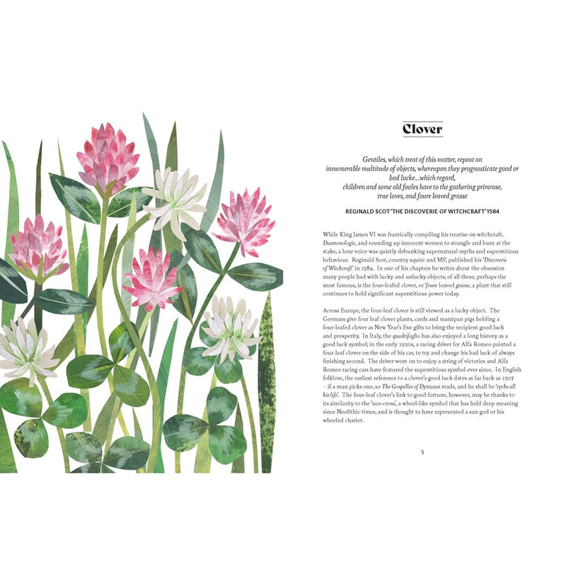 Floriography : The Myths, Magic & Language of Flowers