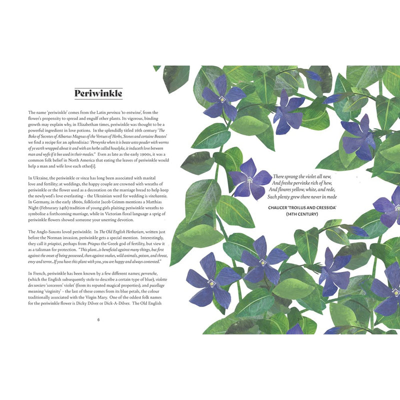 Floriography : The Myths, Magic & Language of Flowers