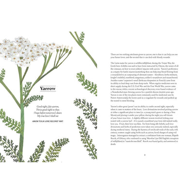Floriography : The Myths, Magic & Language of Flowers
