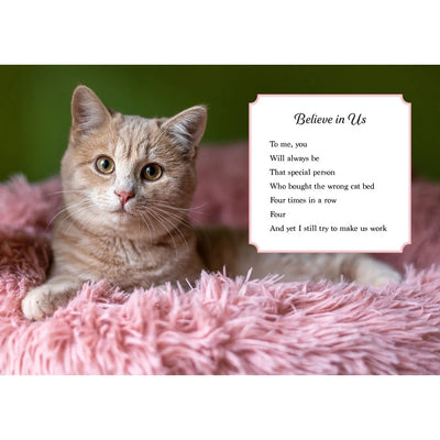 Oh. It's You.: Love Poems by Cats