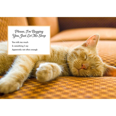 Oh. It's You.: Love Poems by Cats