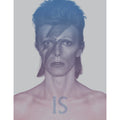 David Bowie Is PBK