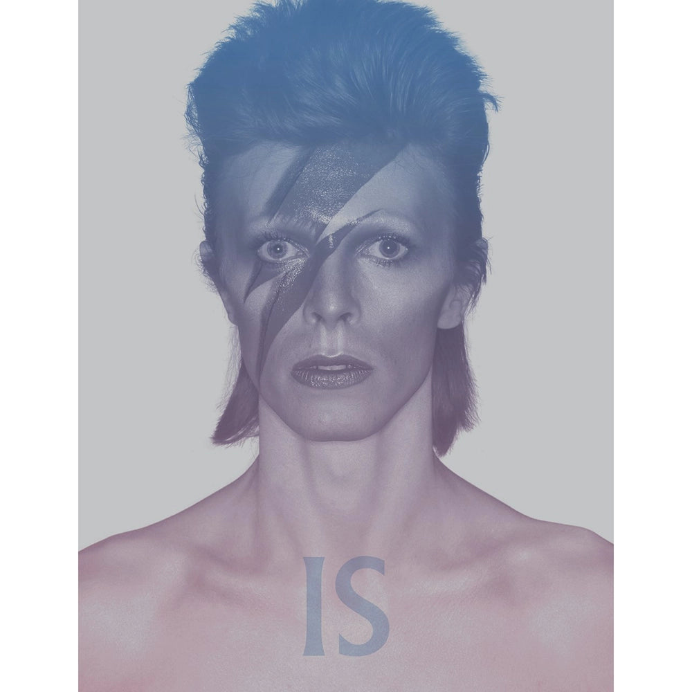 David Bowie Is PBK