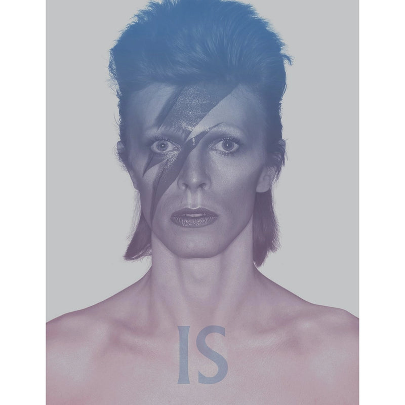 David Bowie Is PBK