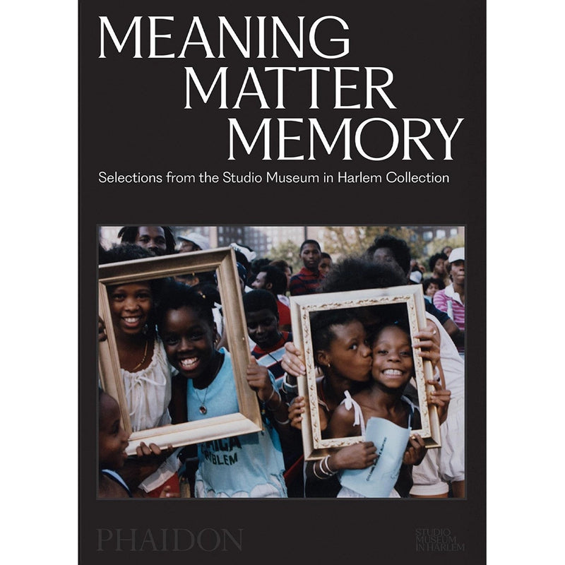 Meaning Matter Memory : Selections from the Studio Museum in Harlem Collection