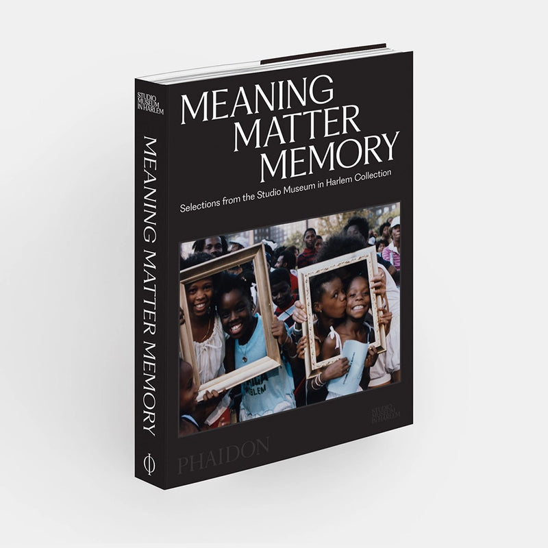 Meaning Matter Memory : Selections from the Studio Museum in Harlem Collection