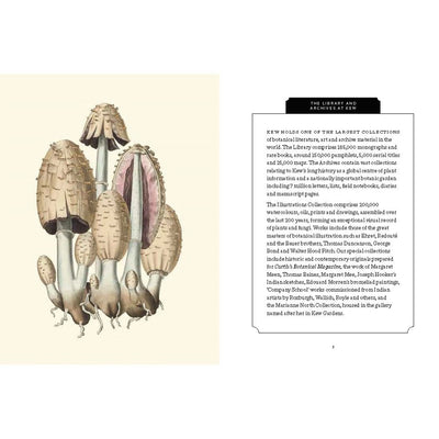 Kew Pocketbooks: Fungi