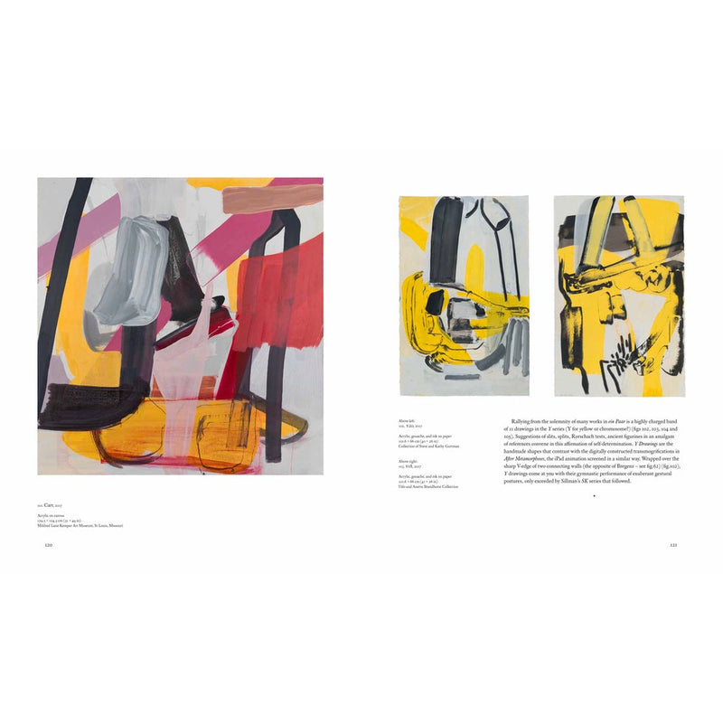 Amy Sillman (Contemporary Painters Series)