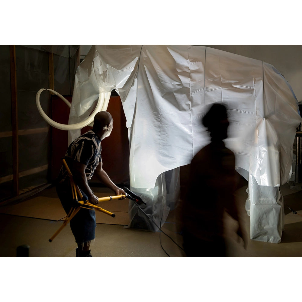 Nick Cave: Mammoth