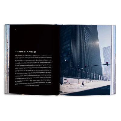 Trope Chicago: The Loop and Beyond