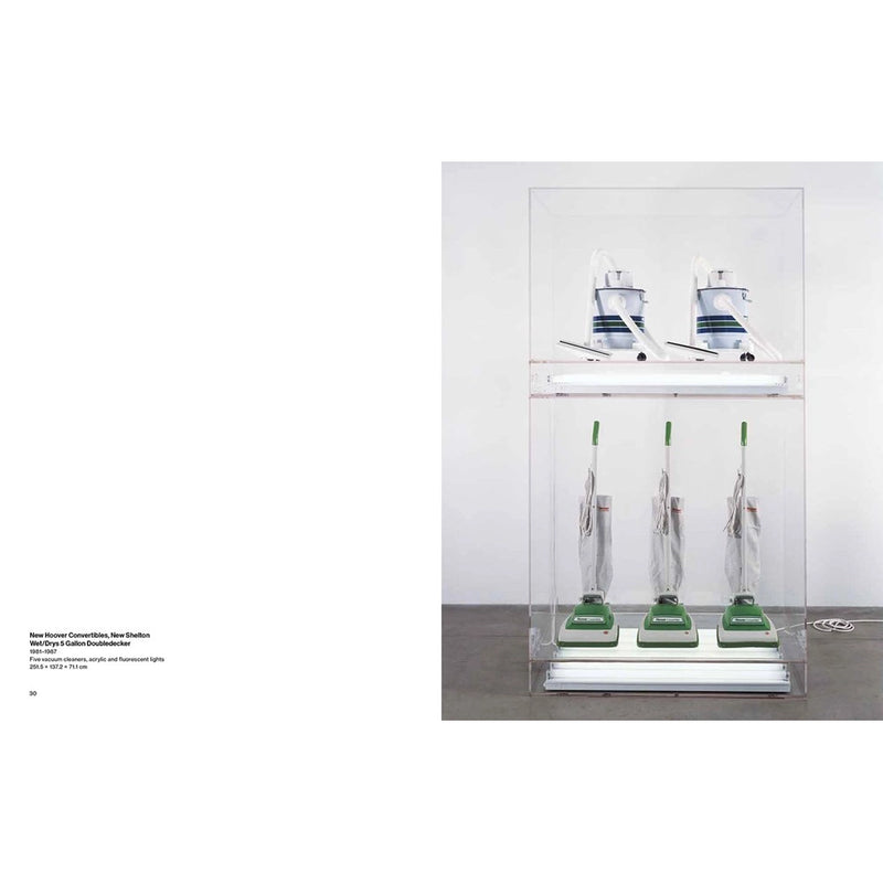 Jeff Koons: Lost in America