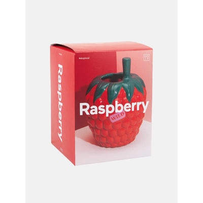 Raspberry Vase