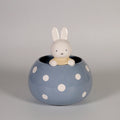 Miffy Peek-a-Bloom Planter