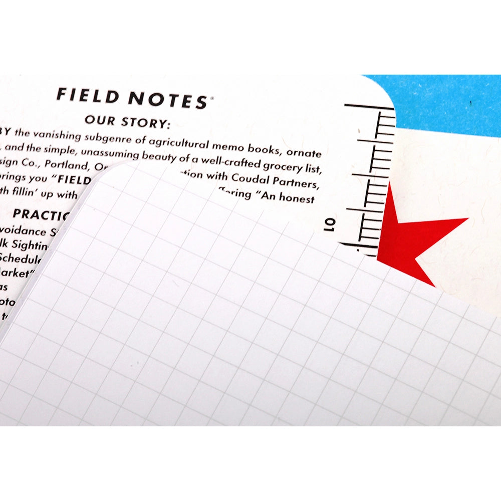 Chicago Flag Memo Notebook Set