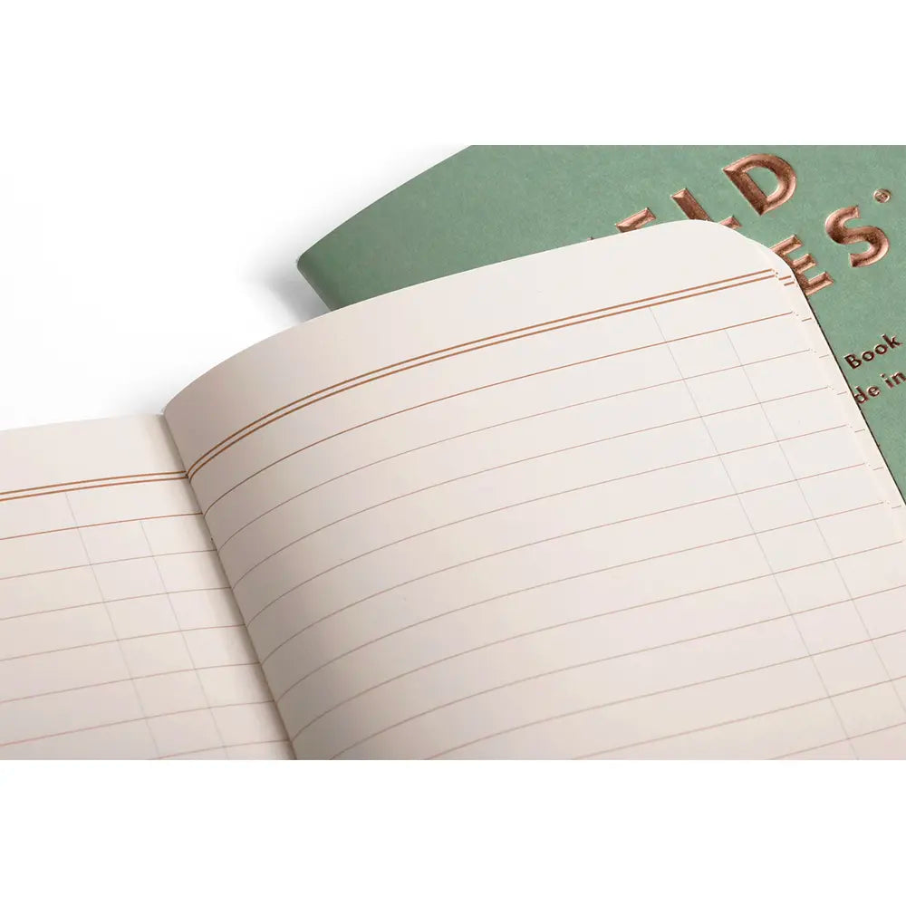 Lucky Penny Memo Notebook Set